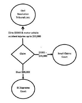 {Small claim process}